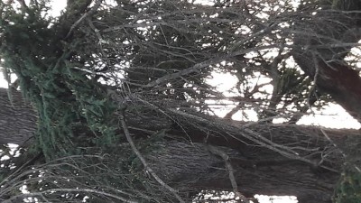 20180922_190403.jpg (116.42 KiB) Osservato 754 volte 20180922_190403.jpg