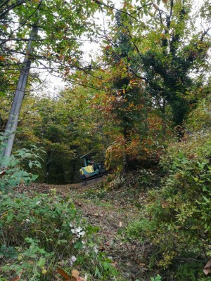 IMG_20181018_091916.jpg (249.88 KiB) Osservato 2348 volte IMG_20181018_091916.jpg