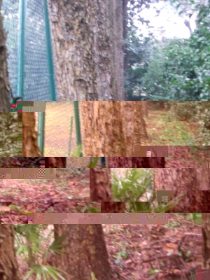 DSCF3023.JPG DSCF3023.JPG