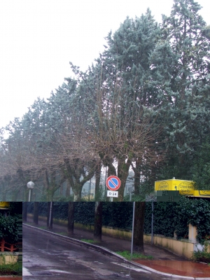 DSCF3030.JPG DSCF3030.JPG