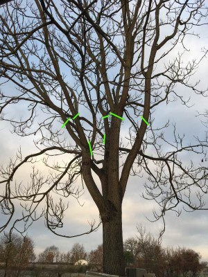 tagli.jpg (122.02 KiB) Osservato 7676 volte tagli.jpg