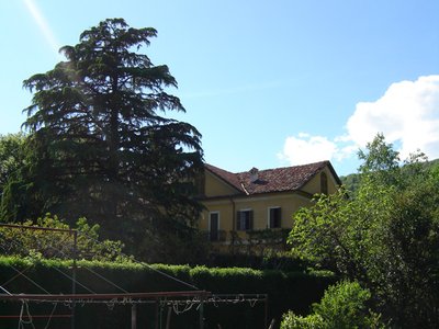 DSC03452.JPG (146.57 KiB) Osservato 1708 volte DSC03452.JPG