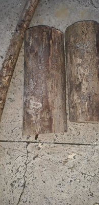 Screenshot_20190525-221252_WhatsApp.jpg (90.77 KiB) Osservato 725 volte Screenshot_20190525-221252_WhatsApp.jpg