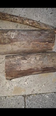 Screenshot_20190525-221248_WhatsApp.jpg (80.99 KiB) Osservato 725 volte Screenshot_20190525-221248_WhatsApp.jpg