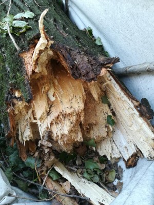 13.jpg (168.22 KiB) Osservato 610 volte 13.jpg