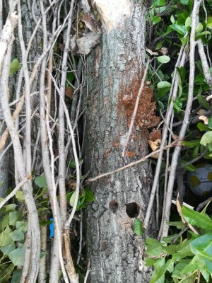 12.jpg (201.46 KiB) Osservato 610 volte 12.jpg