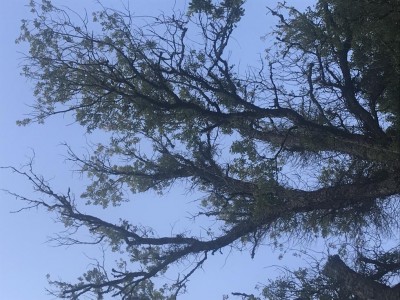 chioma / IMG_8424.JPG IMG_8424.JPG