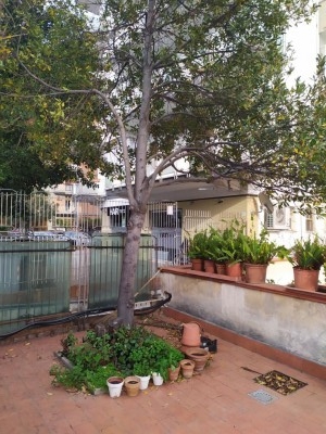 IMG_20200406_175322_ok.JPG IMG_20200406_175322_ok.JPG