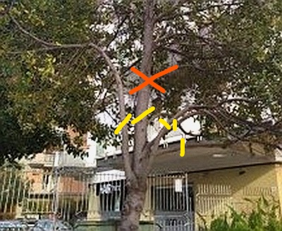 InkedIMG_20200406_175319_ok - Copia_LI.jpg InkedIMG_20200406_175319_ok - Copia_LI.jpg