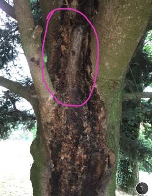 12E4C418-8FE1-4A91-95B7-74708CB3D6B6.jpeg (130.7 KiB) Osservato 721 volte 12E4C418-8FE1-4A91-95B7-74708CB3D6B6.jpeg