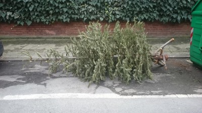 DSC_0093.JPG (110.55 KiB) Osservato 2822 volte DSC_0093.JPG