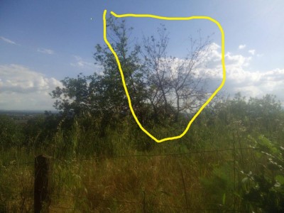 Immagine WhatsApp 2025-05-12 ore 10.48.08_dc843ed0.jpg (100.91 KiB) Osservato 2349 volte Immagine WhatsApp 2025-05-12 ore 10.48.08_dc843ed0.jpg