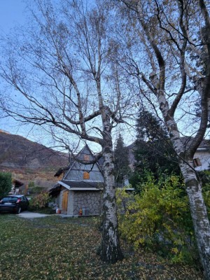 WhatsApp Image 2025-11-04 at 17.41.21.jpeg (204.95 KiB) Osservato 1187 volte WhatsApp Image 2025-11-04 at 17.41.21.jpeg