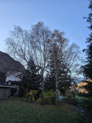 WhatsApp Image 2025-11-04 at 17.41.22 (1).jpeg (146.57 KiB) Osservato 2392 volte WhatsApp Image 2025-11-04 at 17.41.22 (1).jpeg