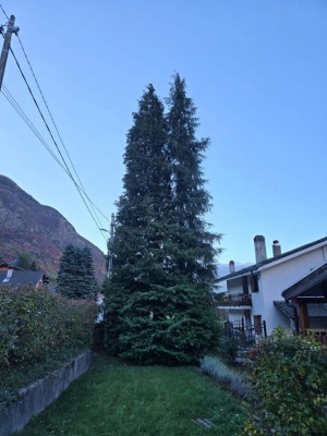 WhatsApp Image 2025-11-04 at 17.41.23 (1).jpeg (98.41 KiB) Osservato 1956 volte WhatsApp Image 2025-11-04 at 17.41.23 (1).jpeg