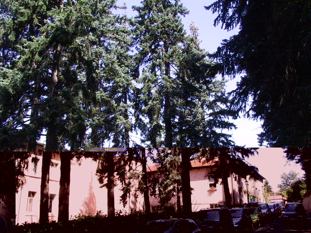 doc.ne verde Pavullo.JPG doc.ne verde Pavullo.JPG