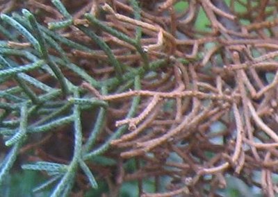 Immagine2.JPG (38.21 KiB) Osservato 843 volte Immagine2.JPG