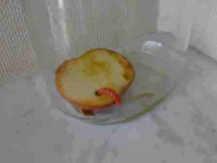 Copia di Rodilegno rosso 12092009053.jpg Copia di Rodilegno rosso 12092009053.jpg