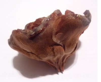 Immagine.jpg (95.24 KiB) Osservato 3639 volte Immagine.jpg