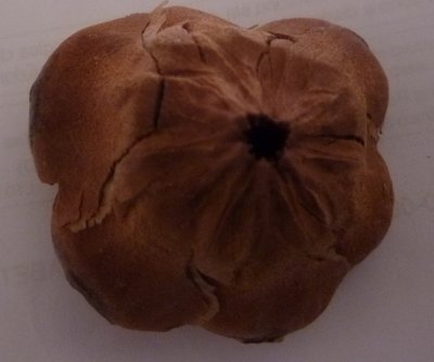 Immagine2.jpg (113.81 KiB) Osservato 3639 volte Immagine2.jpg