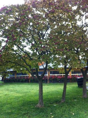 foto 2-1.jpg (144.19 KiB) Osservato 766 volte foto 2-1.jpg