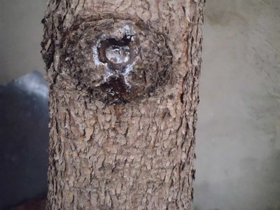 A 2.JPG (99.11 KiB) Osservato 760 volte A 2.JPG