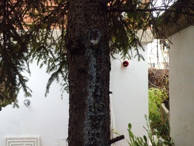 A 3.JPG (119.06 KiB) Osservato 761 volte A 3.JPG