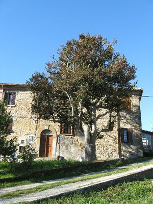 IMG_0118.JPG (211.92 KiB) Osservato 801 volte IMG_0118.JPG