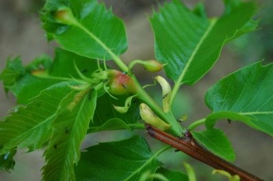 748701206.jpeg (113.67 KiB) Osservato 1551 volte 748701206.jpeg