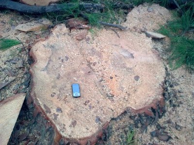 30112009_006.jpg (132.54 KiB) Osservato 1079 volte 30112009_006.jpg