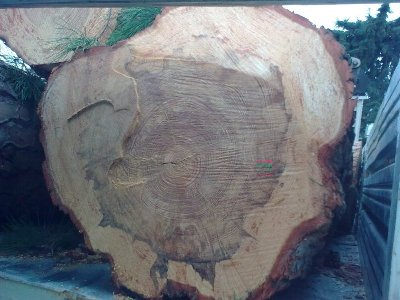 30112009_013.jpg (93 KiB) Osservato 1081 volte 30112009_013.jpg