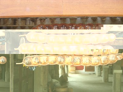 baccello rex thai / baccelli Thai - IMG_3774.jpg baccelli Thai - IMG_3774.jpg