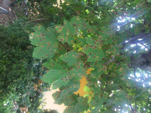 2 foto.jpg 2 foto.jpg