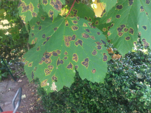 1 foto.jpg 1 foto.jpg