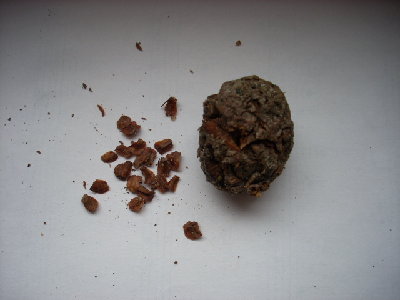 DSCN0829.JPG (113.19 KiB) Osservato 11785 volte DSCN0829.JPG