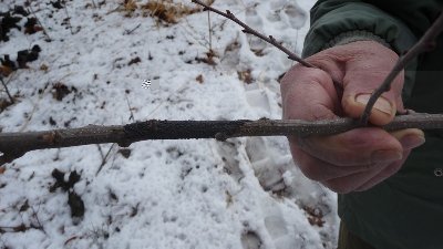 Untitled.jpg (78.34 KiB) Osservato 865 volte Untitled.jpg