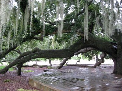 2 (Mobile).jpg (74.25 KiB) Osservato 1017 volte 2 (Mobile).jpg