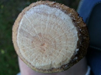 dr.jpg (136.84 KiB) Osservato 863 volte dr.jpg