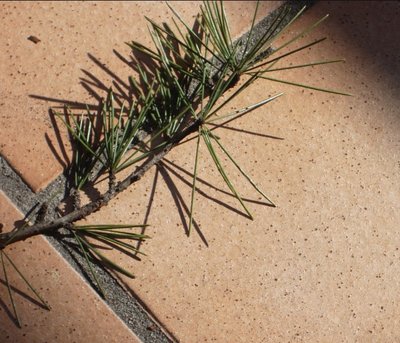 ScreenHunter_01 Mar. 06 14.35.jpg (143.92 KiB) Osservato 1368 volte ScreenHunter_01 Mar. 06 14.35.jpg