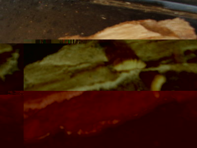 20100313_01.JPG (146.78 KiB) Osservato 1140 volte 20100313_01.JPG