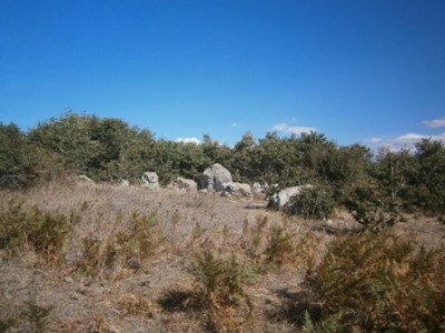 Foto3 / SaMenta Rid2.jpg SaMenta Rid2.jpg