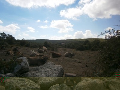 Foto2 / SaMenta Rid1.jpg SaMenta Rid1.jpg