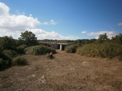 Foto1 / SaMenta Rid3.jpg SaMenta Rid3.jpg