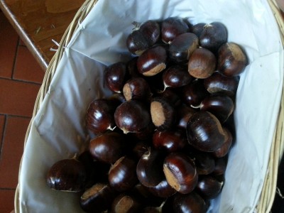 2014-10-25 13.38.17.jpg (2.14 MiB) Osservato 3838 volte 2014-10-25 13.38.17.jpg