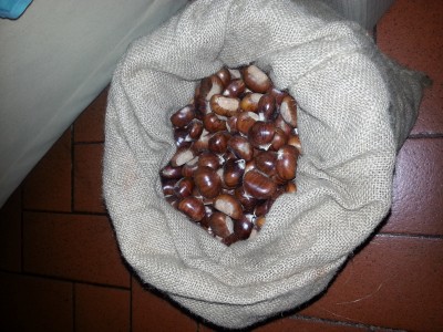 2014-11-12 18.48.35.jpg (2.77 MiB) Osservato 3818 volte 2014-11-12 18.48.35.jpg