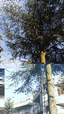 20150331_181400.jpg (66.27 KiB) Osservato 641 volte 20150331_181400.jpg