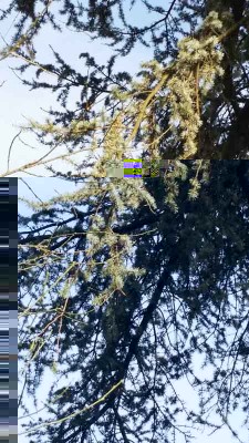 20150331_181409.jpg (58.47 KiB) Osservato 641 volte 20150331_181409.jpg