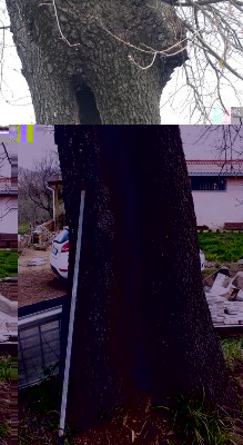 20150331_153642.jpg (250.29 KiB) Osservato 1830 volte 20150331_153642.jpg