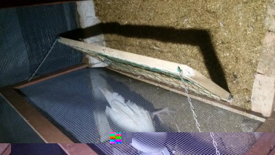 rastrelliera / 20170103_174222.jpg 20170103_174222.jpg