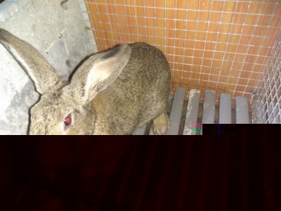 4.jpg (104.34 KiB) Osservato 1234 volte 4.jpg